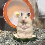 [EXO] 들어가서 반대 안 누르면 타오딸❤️