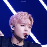 [박지훈] 핑크머리 과질