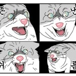 [EXO] 썩뮤에 <b>우호적</b>인 감정 갖지말자