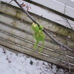 예비 고1 선행