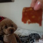 [EXO] <b>육포</b>먹는중
