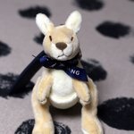 캉골 인형 살까말까 <b>색도</b> 골라줘