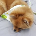 안쓰는 굿즈 재<b>활용</b>