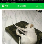 [댓글부탁해] 6. 저희집에 몰카가 있어요...............