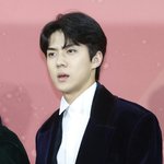[세훈] 171202 <b>레드카</b>펫 기사사진