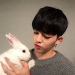 [세븐틴] 공출목 말이야