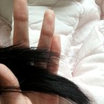 나 머릿결이 왜이럴까