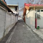내 카메라 은근 <b>화질</b> 좋은 듯