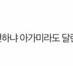 [방탄소년단] 아니 이거 짤로 쓰면안됨?ㅋㅋㅋㅋㅋ개웃겨