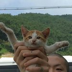 우리 학교에 그림 좀 그린다 싶은 애들 다 정상 아닌 거 같음,...