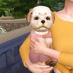 나도 동물키우고싶다