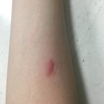 <b>내</b>가 <b>내</b> <b>입</b>으로 낸 키스마크