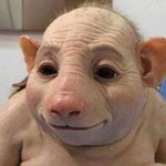 [댓글부탁해] 페북<b>현</b><b>활</b>조카왜안꺼짐?