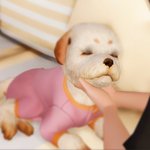 이건 무슨피부<b>타입</b>이여 얘들아