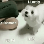 [방탄소년단] 이삐들 커<b>여운</b> 외랑둥이 만들짤 보고가셈 ㅋㅋㅋㅋ