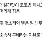 애들아 엑소엘 관련 글이야 우리도 사과받고싶어 꼭 들어와주라