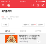 [EXO] 그 청ㅇ원글 저새끼들 박제한단다~~