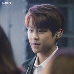 [박우진] <b>청순</b>.<b>청초</b>한 참새
