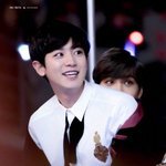 [EXO] 찬열이는 무조건 <b>그리핀</b>도르상이다