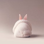 [ㅃㄹ드루와] 중2 일<b>주일</b> 벼락치기