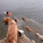 [댓글부탁해] 펜팔 중인데 영잘알 도움 좀 ㅠㅠ