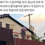 학교에서 일어난 사건 적고 가 보자!