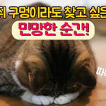 공감가는 <b>민망</b>한 상황들