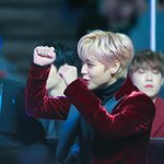 [박지훈] 솜주먹 불끈