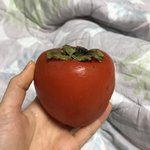 [드루와] <b>홍시</b> 먹는당 김옥쮜