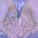 [댓글부탁해] 2017년 2<b>배속</b>한줄