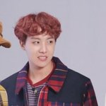 [방탄소년단] 외랑둥이가 이거 호비랰ㅋㅋㅋ