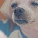 [추반] 님덜 나의 인생의 <b>한부분</b>이 달린일이야...