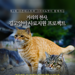 [길고양이] 제2회 거리의 천사, 길고양이 <b>사료</b>지원 프로젝트