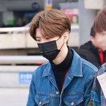 판빙빙 남동생 존잘 ! ! ! !