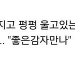 [드루와] 기묘한 꿈 꿨음