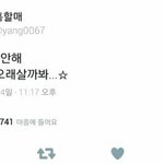<b>정화</b>하려던 애들은 뭔 죄여