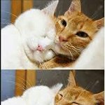 <b>민자</b>야 피곤하겠다