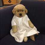 [드루와] 다들 꿈말해보쟝