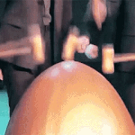 [EXO] 알계 <b>부시</b>는 엓오