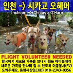 인천(Incheon) -> <b>시카고</b>(<b>Chicago</b>) 이동봉사자 찾습니다...