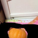 [EXO] ㅅㄷ인데