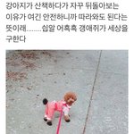 [댓글부탁해] 강아지가 <b>산책</b>을하다 뒤돌아보는 이유래ㅠㅠㅠㅠㅠ