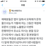 [EXO] 사이다긴한데 거기에달린 답글이 너무<b>뻔뻔</b>해