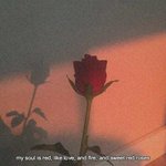 [댓글부탁해] 이런 감성짤 <b>풀자</b>
