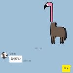 [아이콘] 컴백준비잘하고잇어?