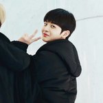 [댓글부탁해] 애플바이트 잘어울리면 무슨웜이야?