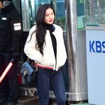 조이 오늘 아침 출근길 사진