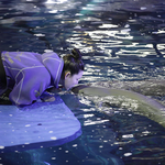 [댓글부탁해] 안녕하세요 상괭이 엄마 <b>김나연</b>입니다.