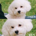 [EXO] 결<b>앨범</b> 상두<b>참여</b>할듯함?