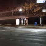 춥다고 버스정류장의자 밟고 올라가시네